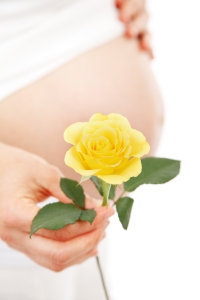 flower_and_pregnant_belly_198324